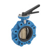 Butterfly valve Type: 5821 Ductile cast iron/Aluminum bronze/NBR Centric Squeeze handle PN16 Lug type DN50